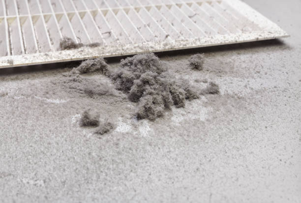 Best Ventilation Cleaning Services  in Earlvle, IL