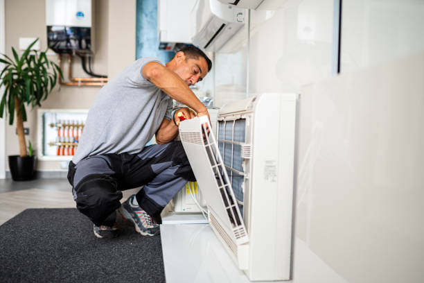 Best Ductwork Cleaning Services  in Earlvle, IL