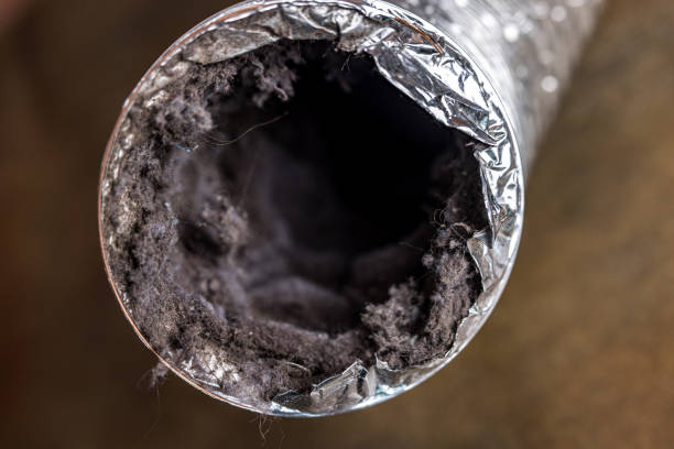 Best Commercial HVAC Duct Cleaning  in Earlvle, IL