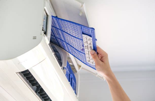 Best Duct Cleaning Specialists  in Earlvle, IL