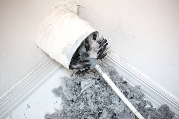 Best Residential Air Duct Cleaning  in Earlvle, IL