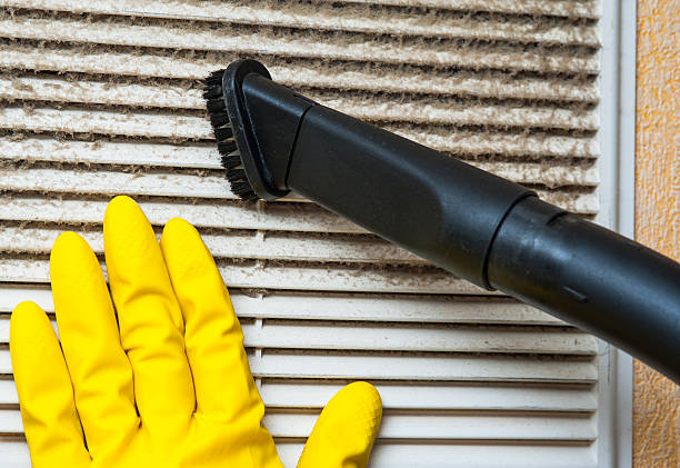 Best Air Duct Cleaning Company Near Me  in Earlvle, IL